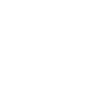 Finezja
